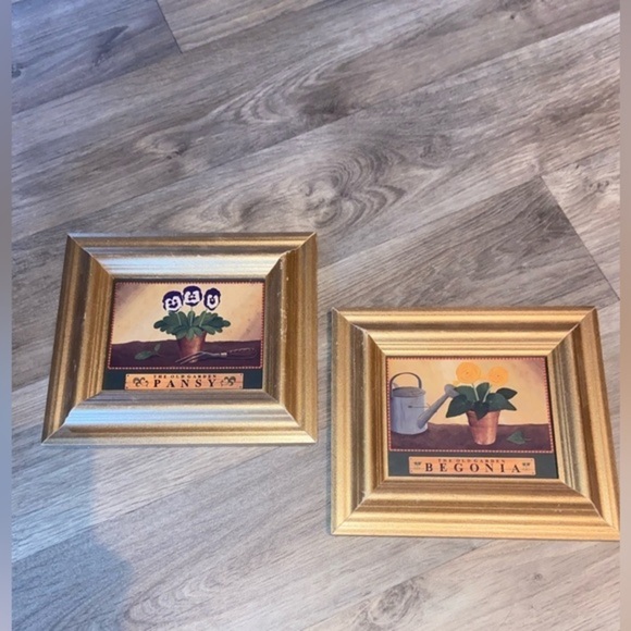 3 for 55$ Home Wall decor Set of 2 Gold paint wood frames plants begonia 7“x 8” - Picture 10 of 11